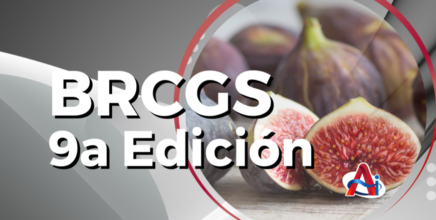 curso BRCGS 9
