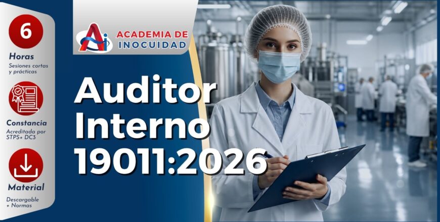 auditori 19011-2026
